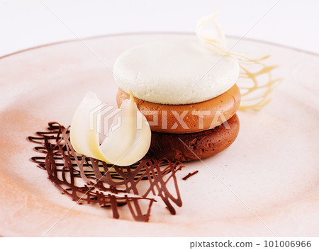 Three chocolate mousse cake on a plate 101006966