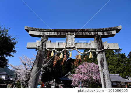 Yabutano Shrine Torii 門和藍天 Yabutano Shrine Torii 門和藍天 101006995