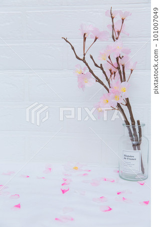 玻璃瓶中的櫻花 1 玻璃瓶中的櫻花 1 101007049