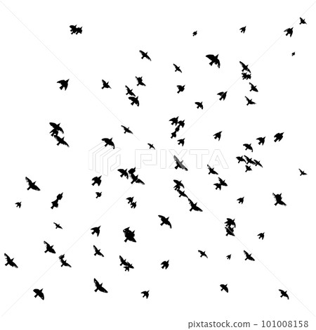 A flock of flying birds. Free birds. Vector illustration A flock of flying birds. Free birds. Vector illustration 101008158