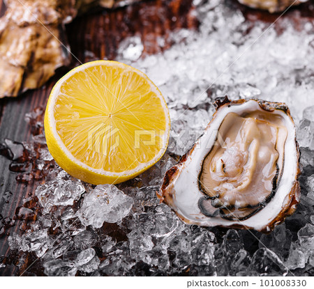 Opened oysters, ice and lemon on board Opened oysters, ice and lemon on board 101008330