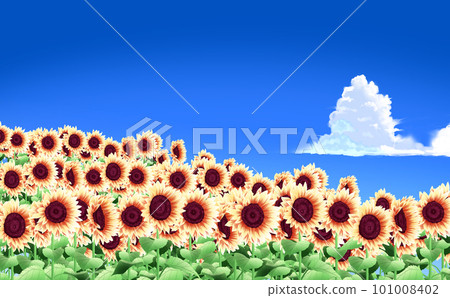 夏季插畫素材 向日葵田在雷雲和山丘上蔓延 藍天背景有差異 夏季插畫素材 向日葵田在雷雲和山丘上蔓延 藍天背景有差異 101008402