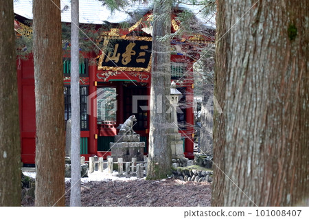 透過杉樹看到的三峰神社隨心門 透過杉樹看到的三峰神社隨心門 101008407