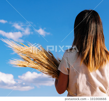 Farm girl holding wheat ears on a field Farm girl holding wheat ears on a field 101008666