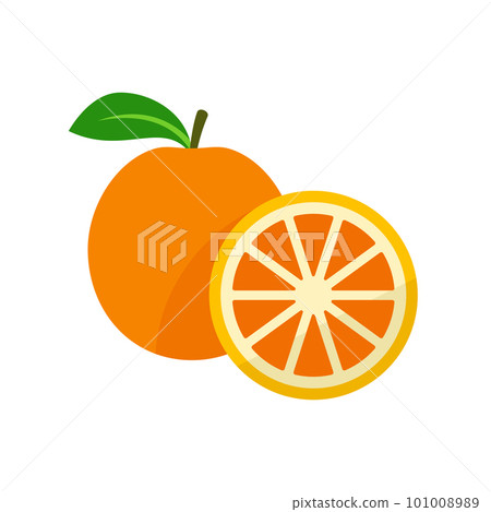 Orange fruit flat vector illustration. Whole and cut orange. Orange fruit flat vector illustration. Whole and cut orange. 101008989
