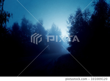 Night foggy forest road Night foggy forest road 101009120