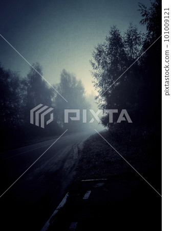 Night foggy forest road Night foggy forest road 101009121