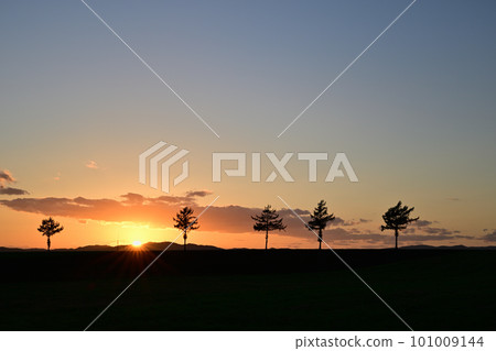 Hill of fairy tale 101009144