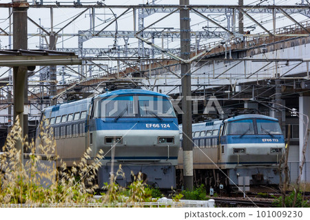 EF66 100 series shark face EF66 100 series shark face 101009230