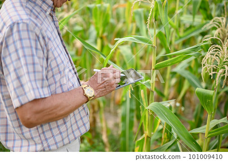 Cropped image of an Asian-aged farmer using his digital tablet for his smart farm system Cropped image of an Asian-aged farmer using his digital tablet for his smart farm system 101009410