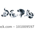 Set bicolor black and white cats stretching poses. Watercolor painting isolated on white background 101009597