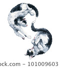 Two playing bicolor black and white cats make infinity symbol. Watercolor painting isolated on white background. 101009603