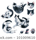 Cute set of bicolor black and white cats with pink paws. Funny sleeping and stretch poses. Watercolor painting isolated on white background 101009610