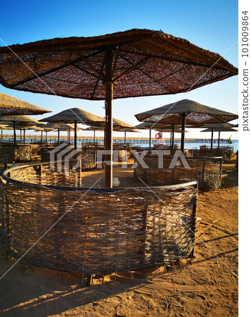 beach in the egypt 101009864