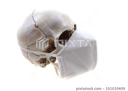human skull with respirator human skull with respirator 101010409