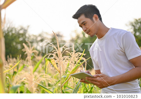 An Asian-aged farmer or farm owner using his tablet for his smart farm system 101010823