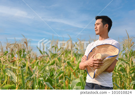 Successful Asian male farmer or corn farm owner stands with arms crossed in his cornfield. 101010824