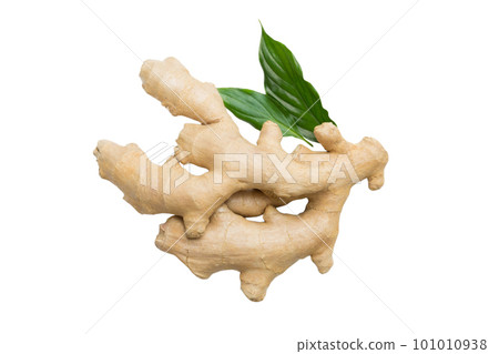 Fresh ginger isolated on white background, herb medical concept top view 101010938