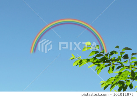 Fresh green that shines in the blue sky rainbow composition Fresh green that shines in the blue sky rainbow composition 101011975