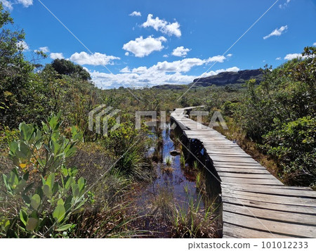 Hiking trail on a boardwalk in Chapada Diamantina National Park in Brazil 101012233