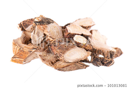 Calamus root isolated on white background. Sweet flag, sway or muskrat root, vasambu. Dry root of Acorus calamus. 101013081