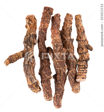 Calamus root isolated on white background. Sweet flag, sway or muskrat root, vasambu. Dry root of Acorus calamus. Top view. Calamus root isolated on white background. Sweet flag, sway or muskrat root, vasambu. Dry root of Acorus calamus. Top view. 101013152