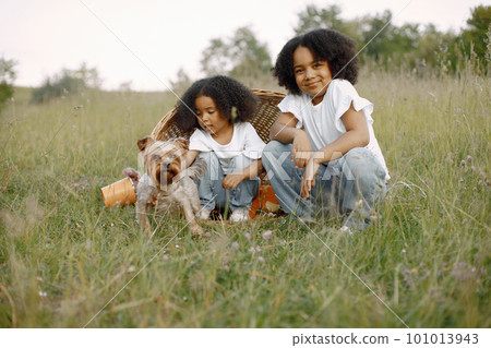 Two baby girls in wicker basket with Yorkshire Terrier dog in sunlight in summer time. Happy children in field on nature on a grass. African girls with black curly hair. 101013943