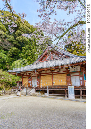[Nara Prefecture] Matsuo Temple, Yamatokoriyama City (Photographed on March 27, 2023) 101014058