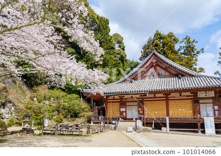 [Nara Prefecture] Matsuo Temple, Yamatokoriyama City (Photographed on March 27, 2023) 101014066