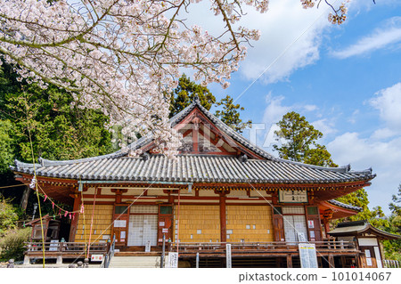 [奈良縣]大和郡山市松尾寺（2023年3月27日拍攝） 101014067