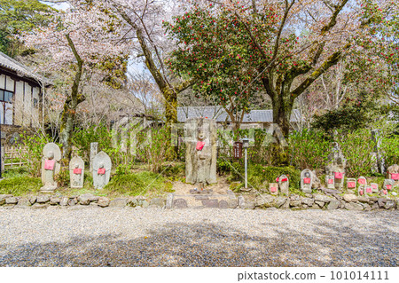 [Nara Prefecture] Yatadera (Kongosanji) in Yamatokoriyama City (Photographed on March 27, 2023) 101014111