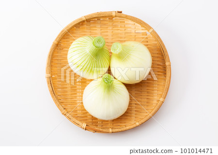 New Onion 101014471