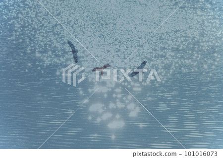 閃閃發光的水面和鳥類 閃閃發光的水面和鳥類 101016073