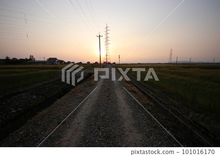 Road illuminated by the setting sun (Imizu City, Toyama Prefecture) 101016170
