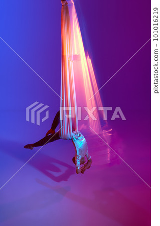 Young man, professional aerial gymnast, acrobat training on aerial fabric against gradient blue purple studio background in neon with mixed lights 101016219