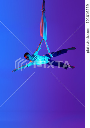 Acrobat, professional male aerial gymnast hanging upside down on aerial silk against gradient blue purple background in neon light 101016239
