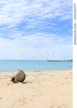 Island of Tropical Island Island of Tropical Island 101016377