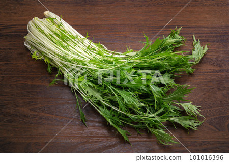 green and yellow vegetable mizuna 101016396