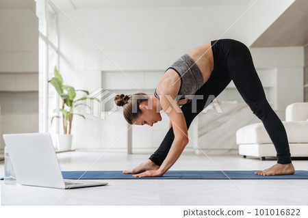 Young fit woman training at home near laptop 101016822