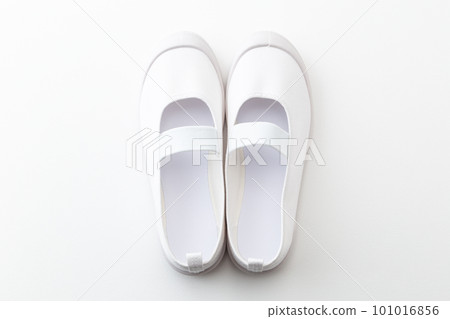 在白色背景安置的室內鞋子 在白色背景安置的室內鞋子 101016856