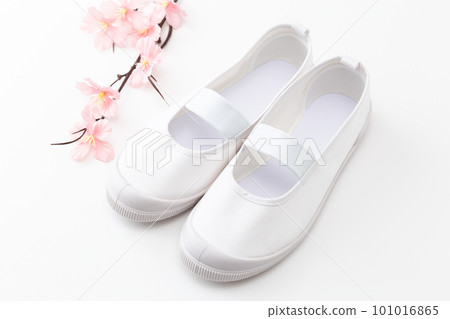 Indoor shoes placed on a white background 101016865