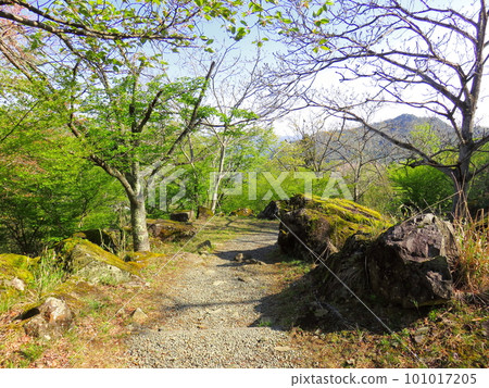 Hyogo Asago City Spring Ritsuunkyo Hyogo Asago City Spring Ritsuunkyo 101017205