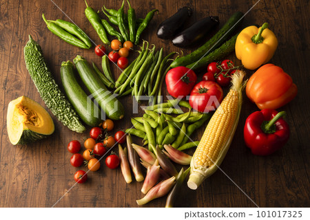 Summer vegetables gathering 101017325