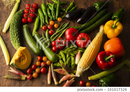 Summer vegetables gathering 101017326