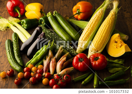 Summer vegetables gathering 101017332