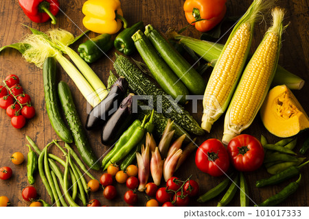 Summer vegetables gathering 101017333