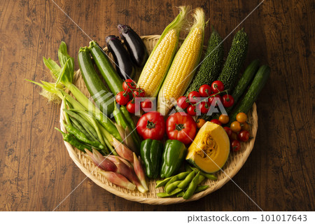 Summer vegetables gathering 101017643