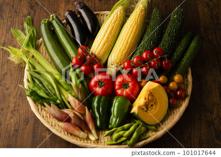 Summer vegetables gathering 101017644