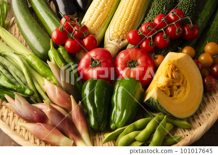 夏季蔬菜聚會 101017645