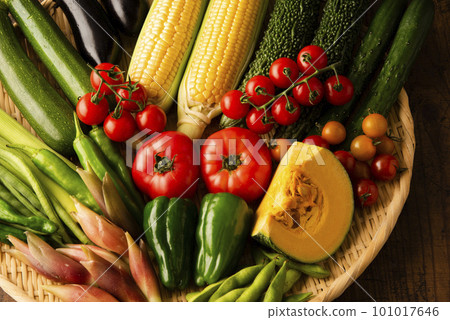 Summer vegetables gathering Summer vegetables gathering 101017646